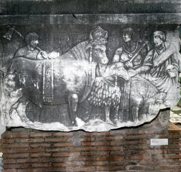 Roman Forum: Suovetaurilia (sacrifice of a pig, a ram and a bull). Rome
