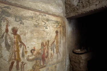Fresco depicting Lararium near entrance to kitchen, House of Caius Julius Polybius, Pompeii