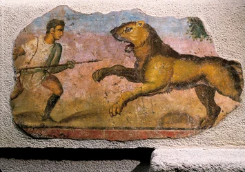Gladiator fighting a lion