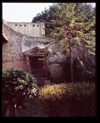 Lararium of Casa del Mobilio Carbonizzato