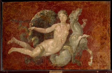 A Woman Riding a Sea Horse