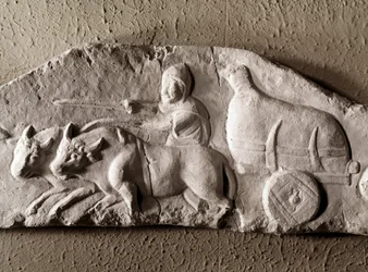 Carved ox tank. Roman Antiquities Museum, Rome