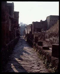 View of a Street