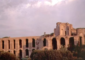 View of the Palatine from the Circus Maximus