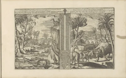 Animals from the West Indies