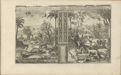 Animals from the West Indies (title on object: Westindische Vissen, etc / Poissons, etc des Indes Occidentales / Westindische Gedrochten / Monstres des Indes Occidentales) (series title: Les Indes Orientales et Occidentales et autres lieux)