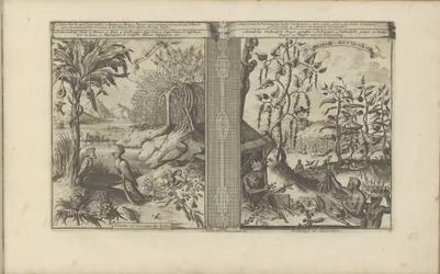 Plants, birds, and pepper fields (The East and West Indies and other places)