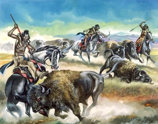 Native American Indians Killing American Bison