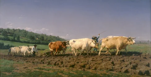 Ploughing in Nivernais