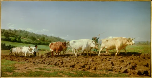 The Plowing Nivernais, the Sombrage