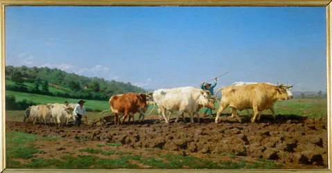 Ploughing in the Nivernais