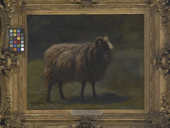 Ram