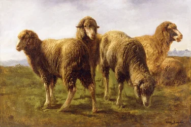 Sheep Grazing in a Meadow