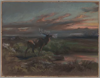 The Call of the Stag