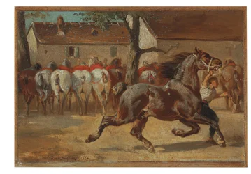 Trotting a Horse