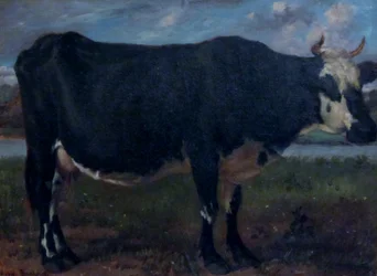 Vaca
