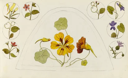 Designs with nasturtiums and other flowers