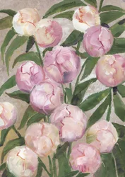 Blush Peony Buds