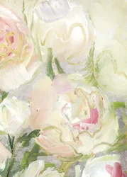 Creamy Pink Flowers