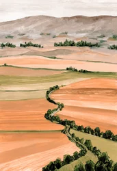 Rolling Fields Vista