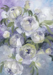 Soft Peony Blossoms