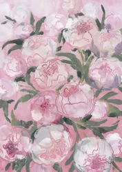 Soft Pink Peonies