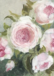 Soft Pink Roses