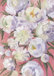 White Peonies Bloom