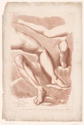 Title Print with Four Legs in Different Positions