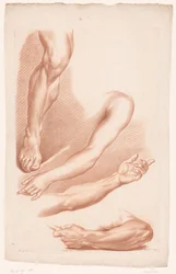Various Views of a Leg and Arms (Principles of Drawing from Nature, Part Seven)