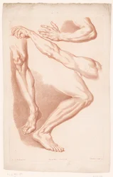 Various Views of Two Legs and Two Arms, Principles of Drawing from Nature, Part Seven