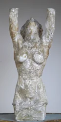 Hermaphrodite
