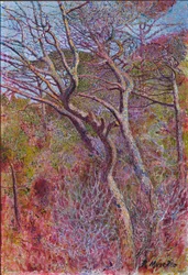 Landscape, Studio