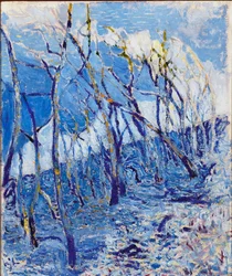 Landscape or Chestnut Forest