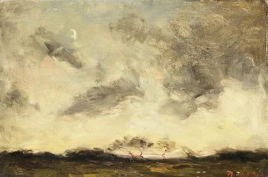 Evening Sun