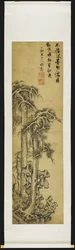 Pines in Landscape