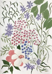Colorful Garden Blossoms