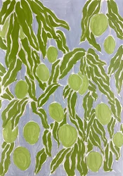 Green Citrus Grove
