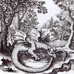 A Dragon in the Forest, from 