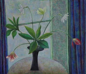 Tulips and Daffs