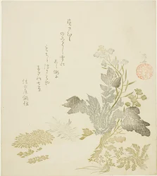 A Giant Radish (daikon), Chrysanthemums and Ferns