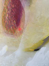 Vibrant Organic Flow