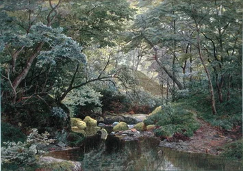 A Woodland Stream