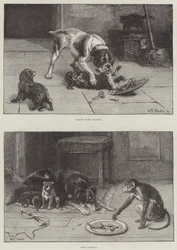 Dogs and Food