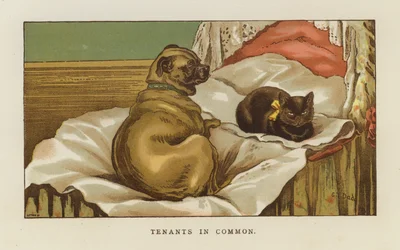 Tenants in Common
