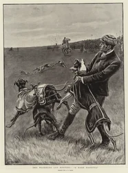 The Waterloo Cup Meeting, A Rare Handful