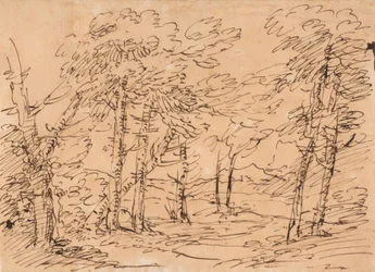 Landscape with Trees and Mountains in the Background