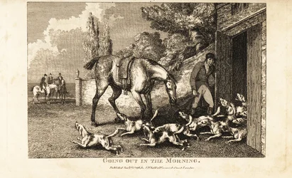 Huntsman opening the kennel door to let out the hounds before going hare hunting