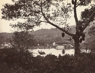 A Peep from Upper Lake Road Showing Temple and Island with Park -- Fruit Tree in Foreground