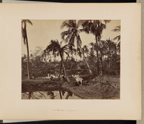 Calcutta; Rustic Scenes and Rural Life in Bengal